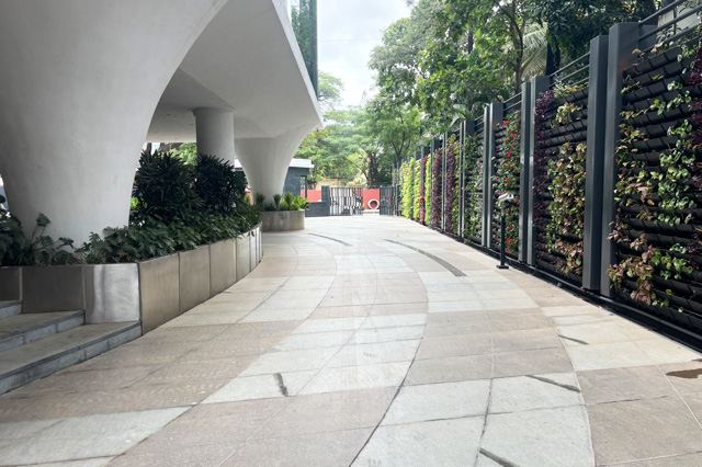 External Developement